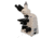 Meiji Techno Halogen Trinocular Brightfield,Phase Contrast Biological Microscope, BEIGE, LARGE MT5310H
