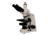 Meiji Techno Halogen Trinocular Brightfield,Phase Contrast Biological Microscope, BEIGE, LARGE MT5310H