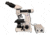 Meiji Techno LED Bino Incident,Transmitted Light BF Metallurgical Microscope, BEIGE, LARGE MT8000L