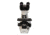 Meiji Techno LED Binocular Brightfield,Phase Contrast Microscope,MT5000, BEIGE, LARGE MT5210L