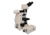 Meiji Techno LED Ergo Bino Incident,Transmitted Light BF Metallurgical Microscope,MT8000EL, BEIGE, LARGE MT8000EL