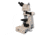 Meiji Techno LED Ergo Trino Incident,Transmitted Light BF Metallurgical Microscope,MT8000, BEIGE, LARGE MT8100EL