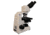 Meiji Techno LED Ergonomic Binocular Brightfield,Phase Contrast Microscope,MT5000, BEIGE, LARGE MT5210EL