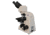 Meiji Techno LED Ergonomic Binocular Brightfield,Phase Contrast Microscope,MT5000, BEIGE, LARGE MT5210EL