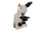 Meiji Techno LED Ergonomic Trinocular Brightfield,Phase Contrast Biological Microscope,MT5310EL, BEIGE, LARGE MT5310EL