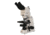 Meiji Techno LED Ergonomic Trinocular Brightfield,Phase Contrast Biological Microscope,MT5310EL, BEIGE, LARGE MT5310EL