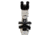 Meiji Techno LED Ergonomic Trinocular Brightfield,Phase Contrast Biological Microscope,MT5310EL, BEIGE, LARGE MT5310EL