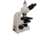 Meiji Techno LED Trinocular Brightfield,Phase Contrast Biological Microscope,MT5310L, BEIGE, LARGE MT5310L