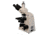 Meiji Techno LED Trinocular Brightfield,Phase Contrast Biological Microscope,MT5310L, BEIGE, LARGE MT5310L