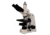 Meiji Techno LED Trinocular Brightfield,Phase Contrast Biological Microscope,MT5310L, BEIGE, LARGE MT5310L