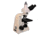 Meiji Techno Trinocular Gout Testing Microscope, BEIGE, LARGE MT9530