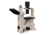 Meiji Techno Trinocular Inverted Brightfield/Phase Contrast Biological Microscope, TC-5400