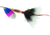 Mepps Aglia In-Line Spinner, 1/4 oz, Dressed Treble Hook, Rainbow Trout Blade &amp; Gray Tail, B3ST RBT-G