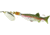 Mepps Comet Mino In-Line Spinner, 2 1/2in, 1/4 oz, Silver Blade with Rainbow Trout Mino, Floating, C2M S-RBT