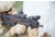Meprolight Mepro Sting Dual Wavelength Visible/IR Laser Sight, Black, 03050006
