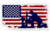 Merica Life Fallen But Not Forgotten Patch, 3 x 2, FBNF