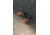 Merrell Nova 3 Shoes - Mens, Clay, 9, J067601-M-9