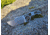 Midgards-Messer Thunrar Backup Fixed Blade