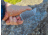 Midgards-Messer Thunrar Backup Fixed Blade
