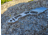 Midgards-Messer Thunrar Backup Fixed Blade