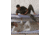 Military Surplus German Orig Fleece Long John Trousers, Olive Drab, 4, 11213001-004
