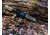 Mission First Tactical Camo Combo Kit, MultiCam, MFTCamoKit-MC