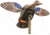 Mojo Elite Series Mini Mallard Hen Decoy