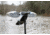 Mojo Es Diver Bluebill Decoy, Bluebill, HW2493