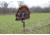Mojo Fatal Fan Turkey Fan Decoy