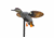 Mojo Gadwall Decoy, Elite Series, HW2473