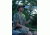 Mojo Voodoo Dove Decoy 80391