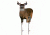 Montana Decoy Co. AC Deer Plot Pack, NSN N, 70