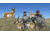 Montana Decoy Co. Antelope Decoy Combo