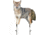 Montana Decoy Co. Montana Decoy Coyote Song Dog