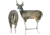 Montana Decoy Co. Spikeler Whitetail Buck and Doe Combo, 0063