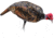 Montana Decoy Co. Montana Decoy Turkey Jake Purr-fect Xd