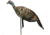 Montana Decoy Co. Montana Decoy Turkey Miss Purr-fect Xd 3d Hen