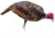 Montana Decoy Co. Purr-Fect Pair XD Decoy Combo