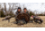 Montana Decoy Co. Purr-Fect Pair XD Decoy Combo