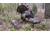Montana Decoy Co. Purr-Fect Pair XD Decoy Combo