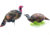 Montana Decoy Co. Purr-Fect Pair XD Decoy Combo