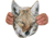 Montana Decoy Co. Sitting Coyote Decoy