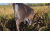 Montana Decoy Co. Teaser Tail  Decoy, NSN N 74