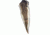 Montana Decoy Co. Teaser Tail  Decoy, NSN N 74