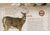 Montana Decoy Co. Trixie Whitetail Doe Decoy