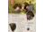 Montana Decoy Co. Wiley Tom 3D Turkey Decoy