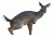 estrus betty decoy