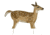 fawnzy predator deer decoy, brown