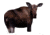 moose ii decoy, brown