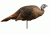 spring fling hen decoy, brown